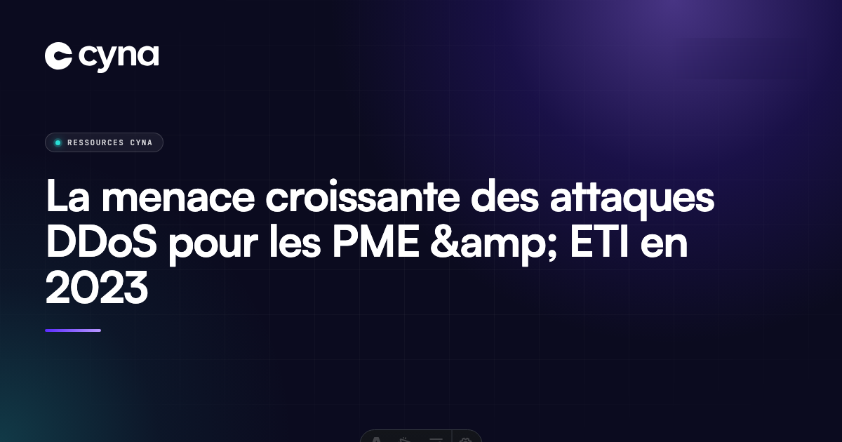 Attaque DDOS PME